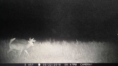 IMG_20181002_073430069.jpg