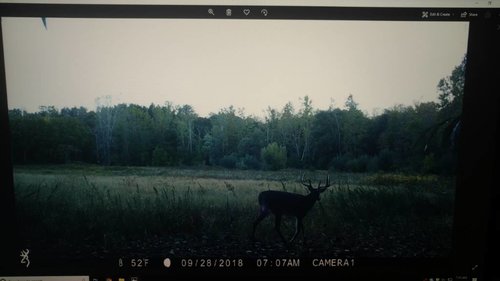 IMG_20181002_073547976.jpg