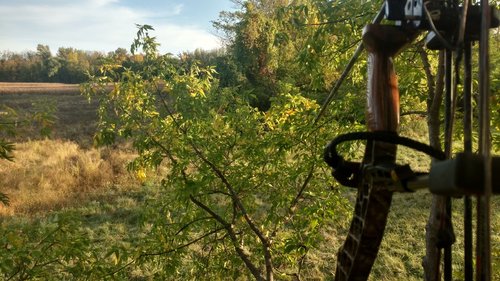 IMG_20181003_173456199_HDR.jpg
