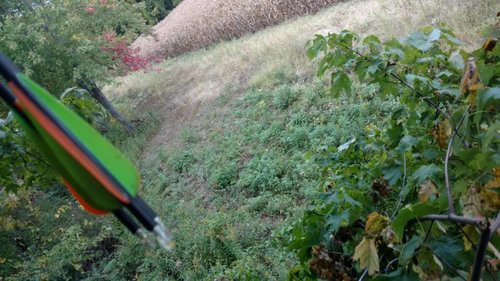 IMG_20181005_170826215.jpg