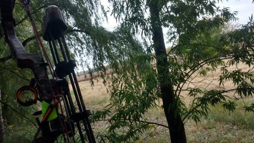 IMG_20181007_175246300_HDR.jpg