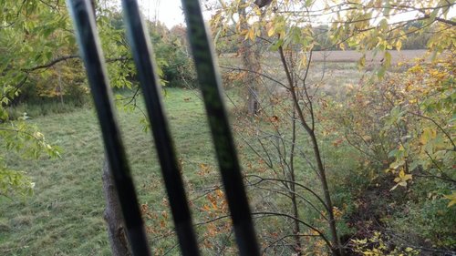 IMG_20181010_172959015.jpg