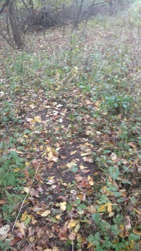 IMG_20181017_164805046.jpg