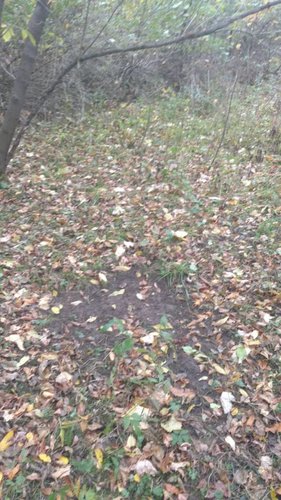 IMG_20181017_164814720.jpg