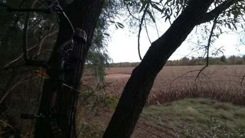 IMG_20181017_174105682.jpg