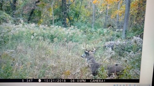 IMG_20181029_101025500_HDR.jpeg