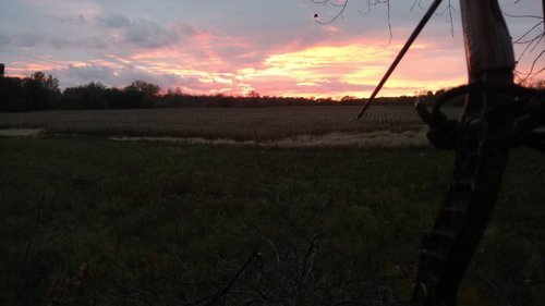 IMG_20181029_181144763.jpeg