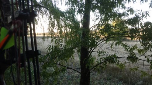 IMG_20181030_172108722.jpeg