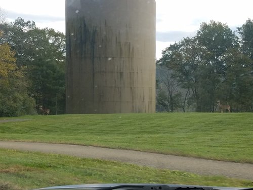 Resized_20181022_164701_6227.thumb.jpeg.a332a1fcfbc5220cb8f9f0abf684a8ae.jpeg