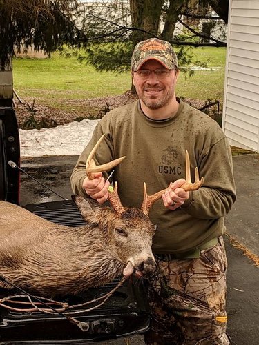 deer pics 1.jpg
