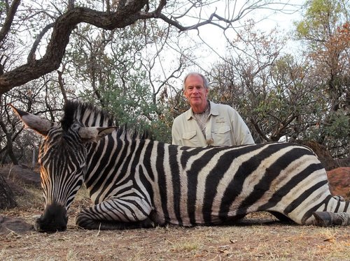 zebra and Dave (2).jpg
