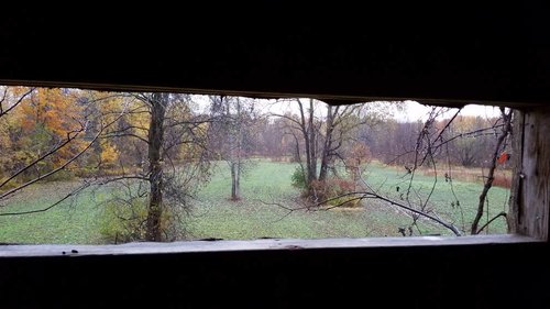 20181103_081402.jpeg