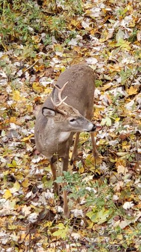 20181103_153018.jpeg