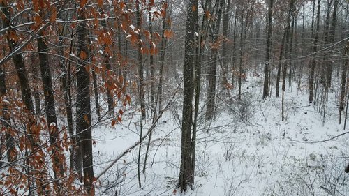 20181116_065650.jpeg
