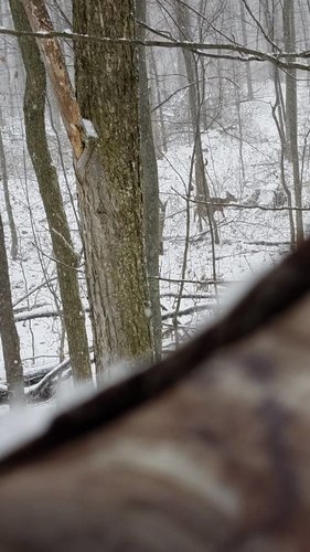 20181121_094001.jpeg