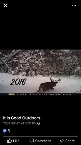 B7F55FF6-6C68-48FD-B0E5-3EC6C101743C.jpeg