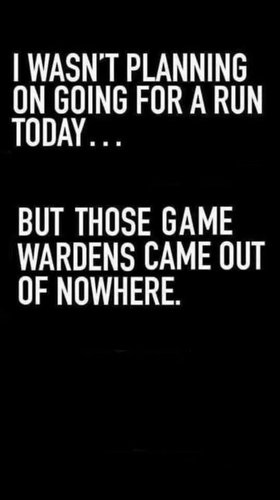 FB_IMG_1542488126513.jpeg