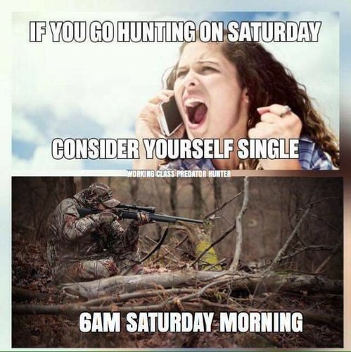 FB_IMG_1543609898491.jpeg