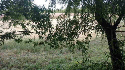 IMG_20181001_170313863.jpeg