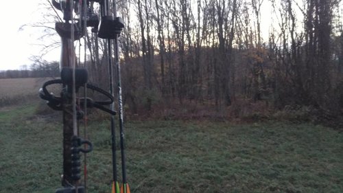 IMG_20181113_170351337.jpeg