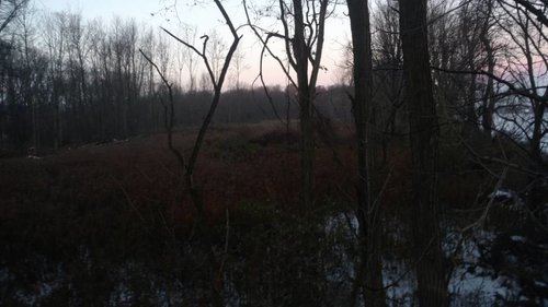 IMG_20181119_070605151.jpeg