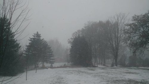 IMG_20181121_091857179.jpeg