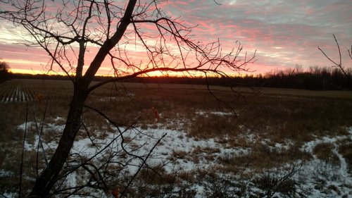 IMG_20181123_070535130_HDR.jpeg