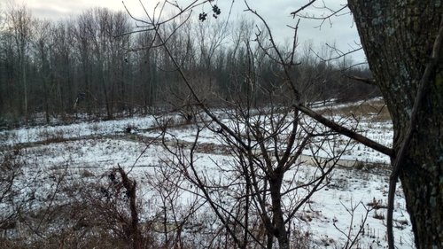IMG_20181129_151225471_HDR.jpeg