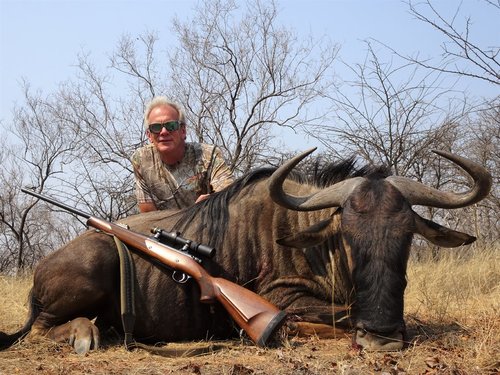 wildebeest.jpg