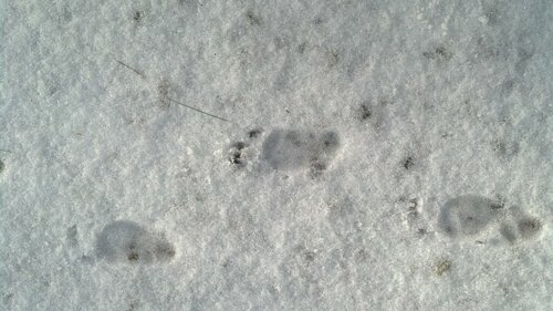 1518174923_2014-12-0708_54_29.thumb.jpg.ecfa64167dfa9b6975da703c237bb3f0.jpg