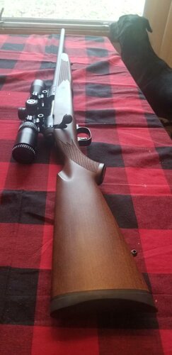 20181216_125326.jpeg