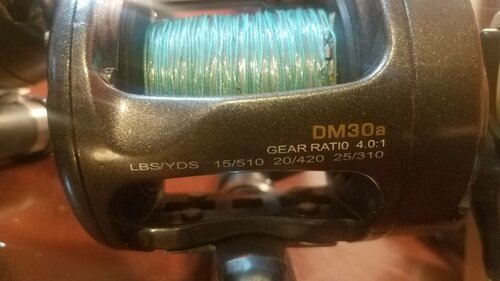 20181227_222604.jpeg