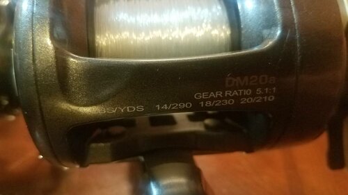 20181227_222620.jpeg
