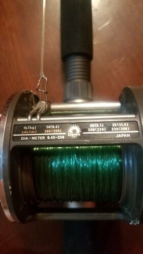 20181227_223001.thumb.jpeg.ec6f84d48b7103ff1a4a28252d7c435d.jpeg