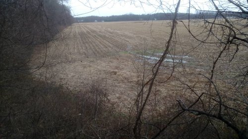 IMG_20181203_145852256.jpeg