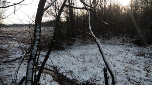IMG_20181205_151852093.jpeg