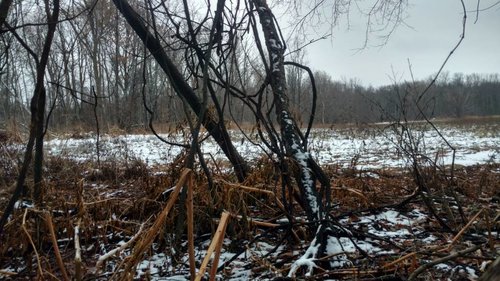IMG_20181206_150220922_HDR.jpeg