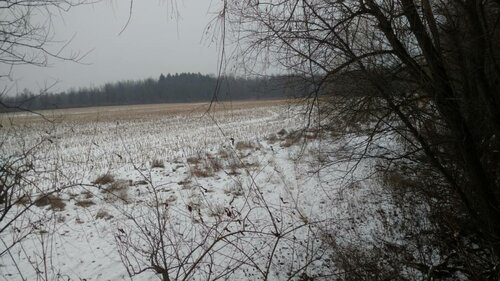 IMG_20181211_145152105.jpeg