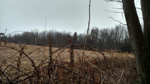 IMG_20181216_160915405_HDR.jpeg