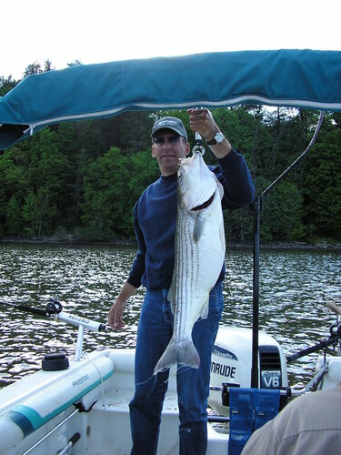 2005-05-18-34in-16.9lb-60deg-blood.JPG