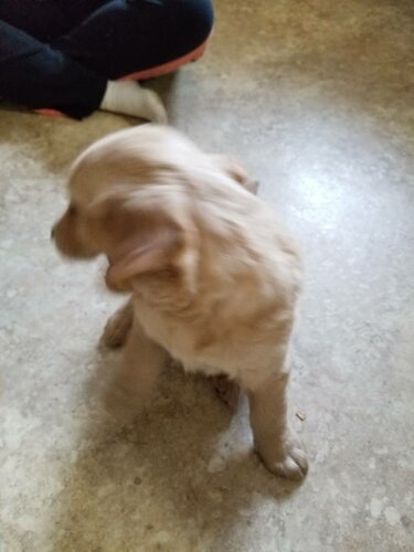 20190106_144659.thumb.jpeg.6531caa0792d12abf6883c785259673e.jpeg