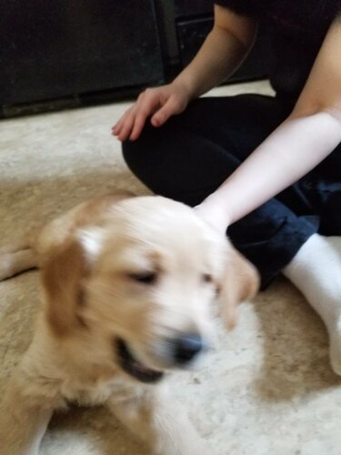 20190106_144741.thumb.jpeg.dfa0786ec212512fdf0d37bf408fbcf2.jpeg