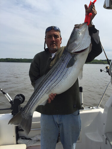 IMG_1518.JPG