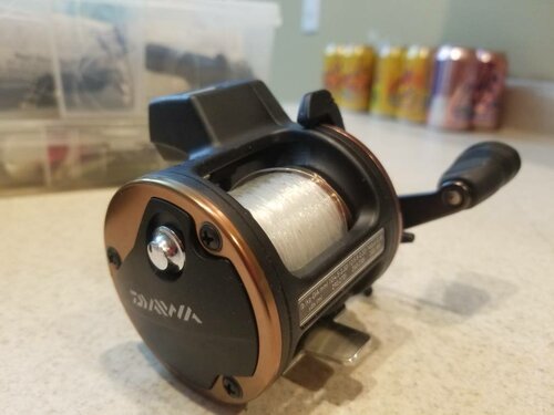 20190123_215221.jpeg