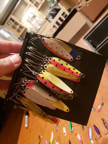 20190206_192416.jpg