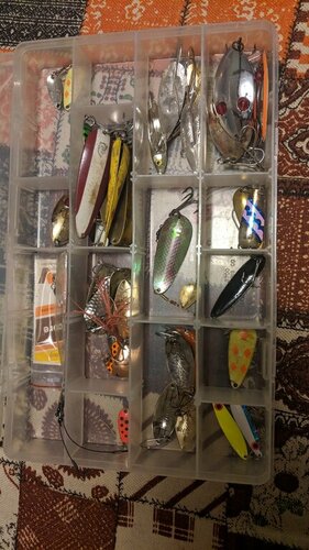 IMG_20190208_192517.jpg