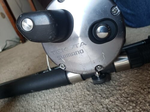 20190228_154526.jpeg