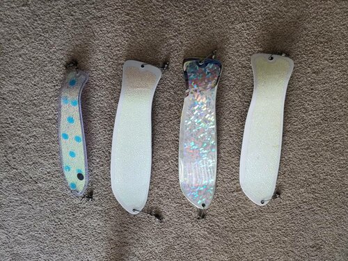 20190228_154743.jpeg