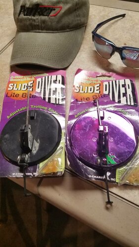 20190302_172736.jpeg