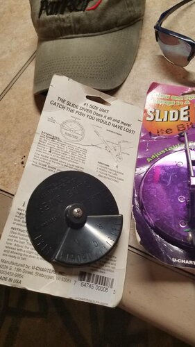 20190302_172747.jpeg